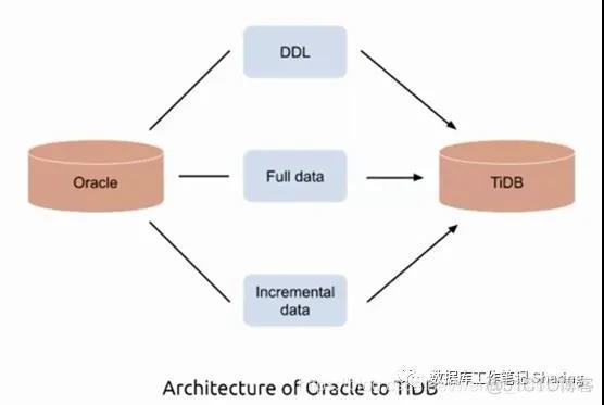 tidb数据库用什么监控_mysql_04