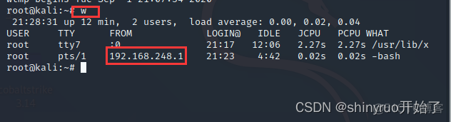 testpmd 查看详细信息_护网_09