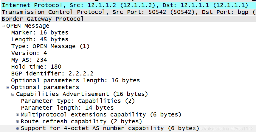 bgp v4_单播