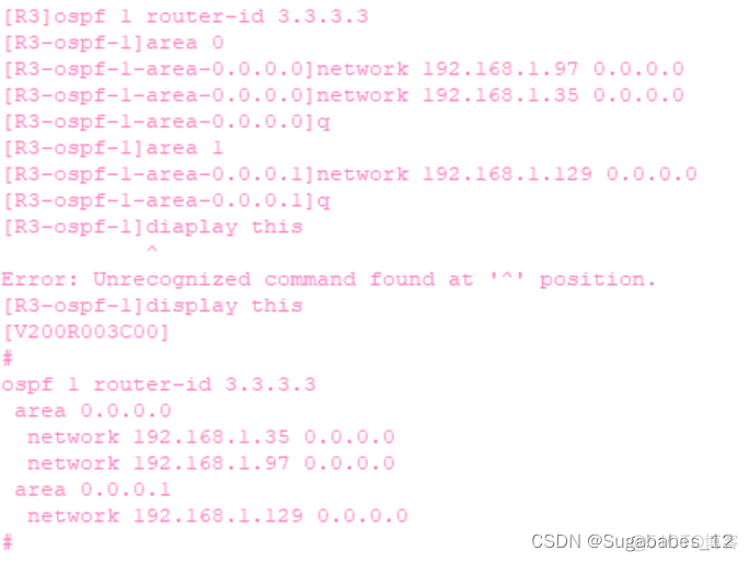 ospf P2MP网络出现两个DR会发什么什么情况_网络_15