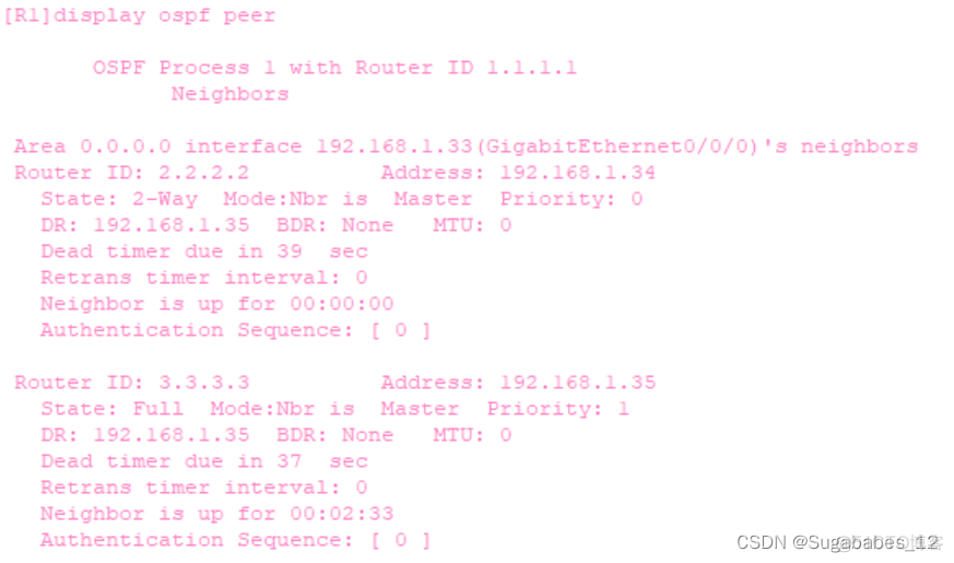 ospf P2MP网络出现两个DR会发什么什么情况_网络_22