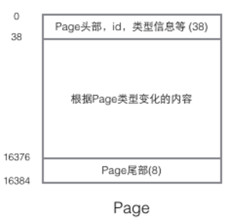 mysql数据页与磁盘块_子节点_03