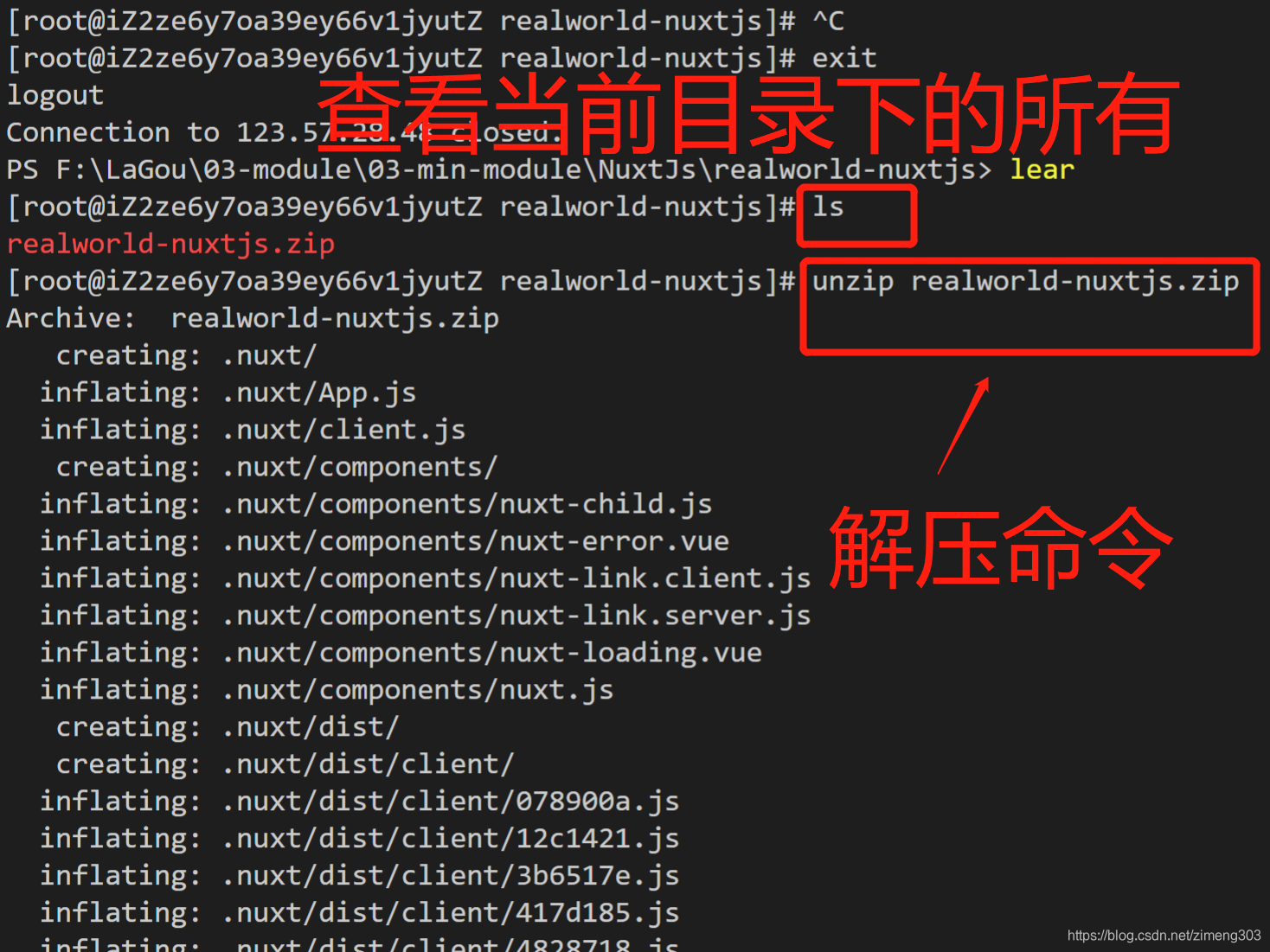 nuxt ssr怎么部署到nginx_linux_06