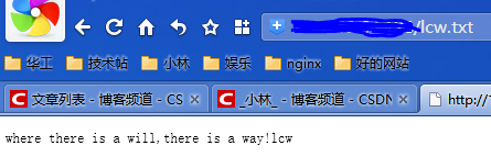 nginx 过滤cors_配置项