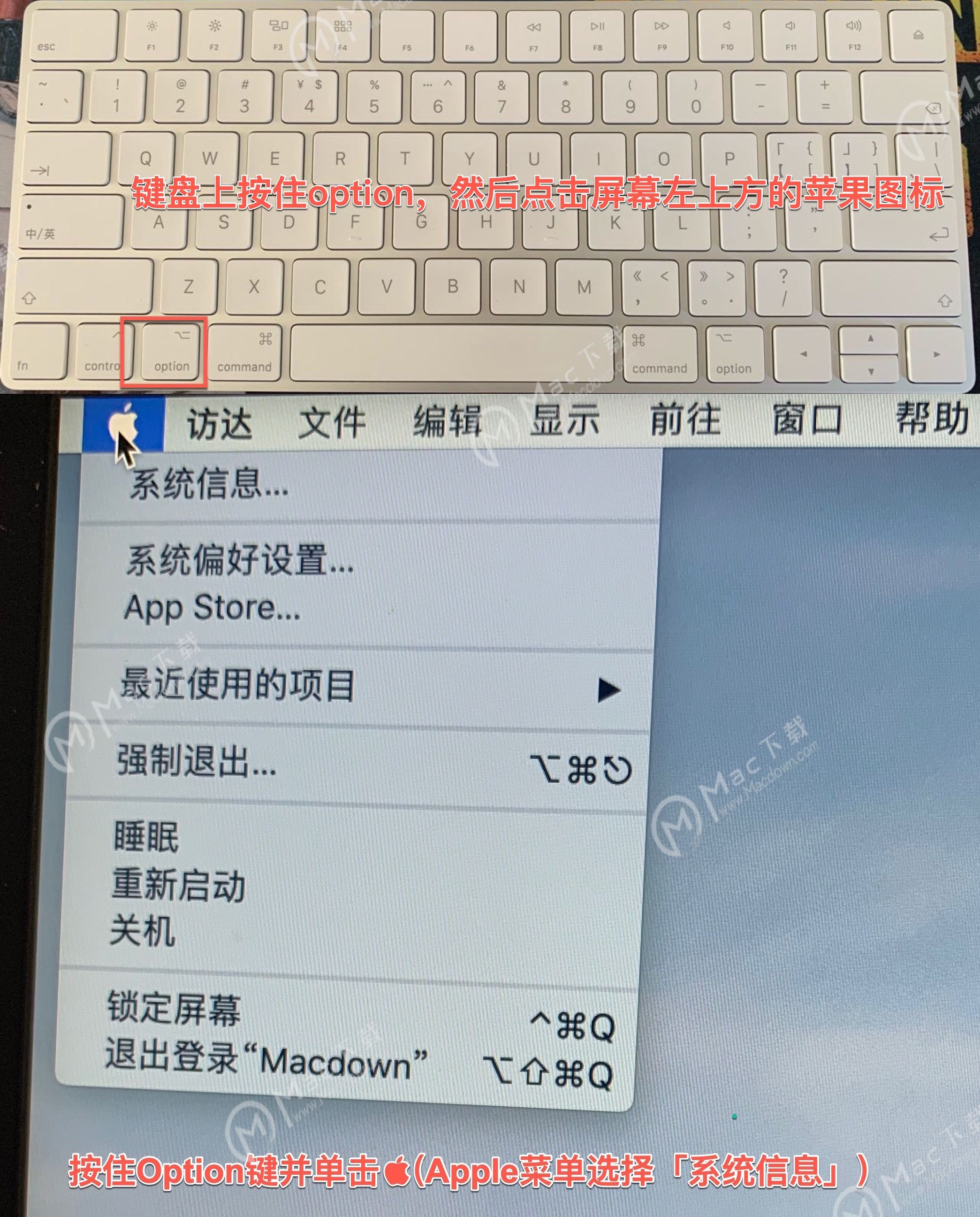 mac关闭sudo_系统完整性_02