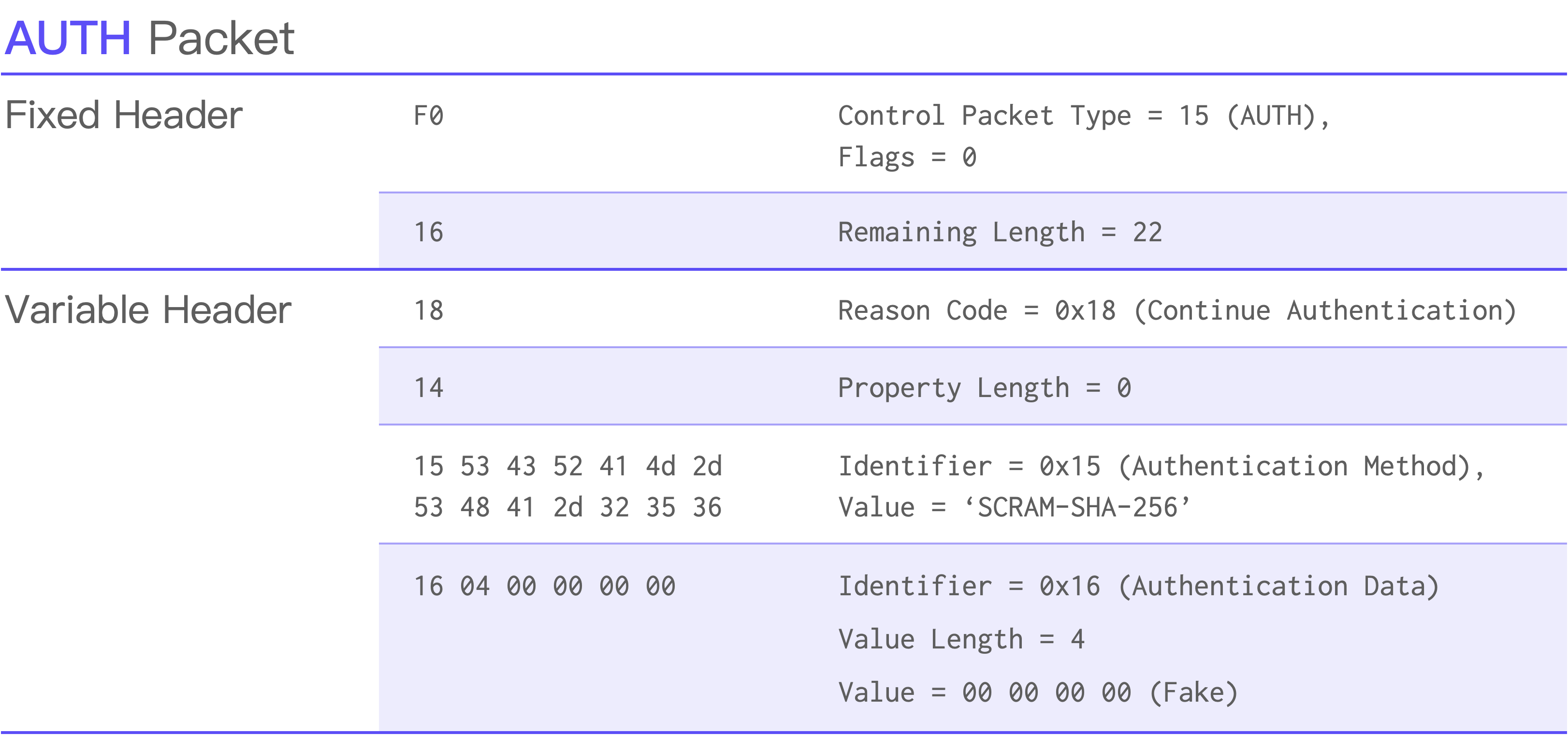 AUTH Packet.png
