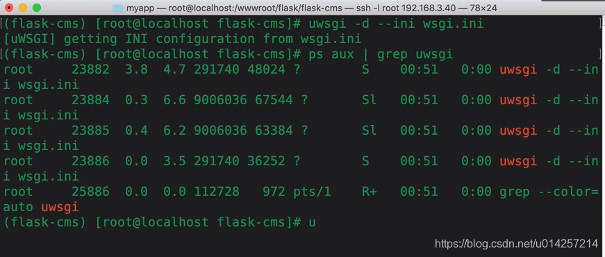 python 编写服务器安全巡检 脚本_wsgi_11