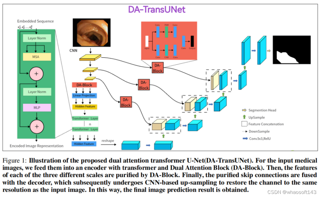 DA-TransUNet_特征提取