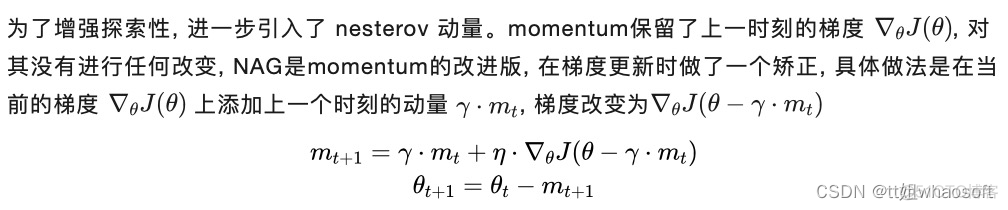 总结机器学习优化器Optimizer_自适应_12