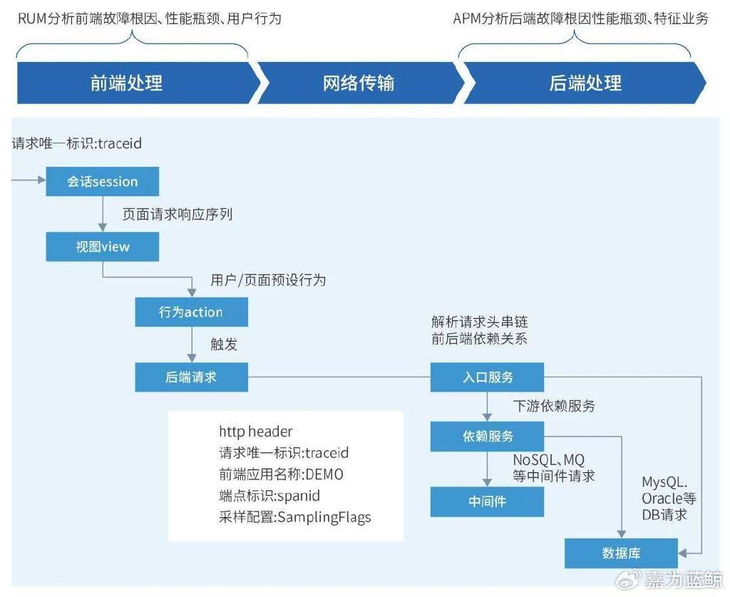 企业应用观测中枢建设_数据库_05