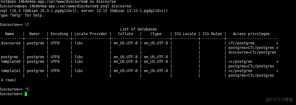 Discourse 如何通过终端工具访问 PGSQL_数据库