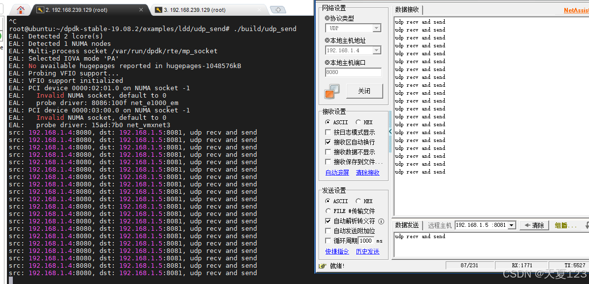 dpdk发送udp报文_数据_02