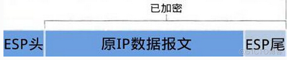 您再去抓一下esp的报文 esp报文格式_IP_05