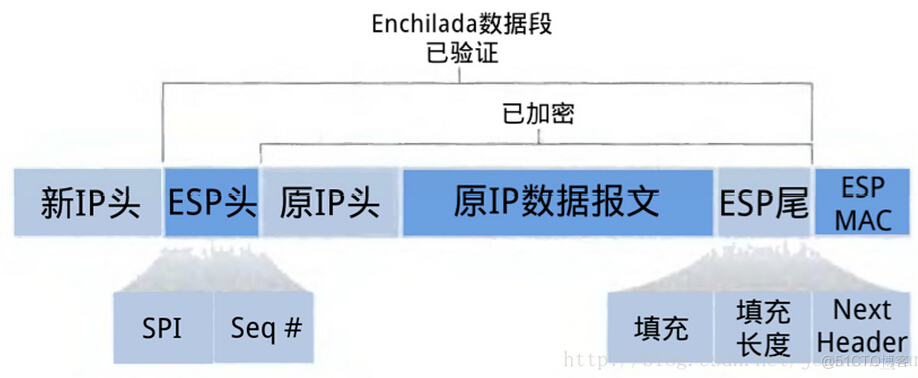 您再去抓一下esp的报文 esp报文格式_数据_08