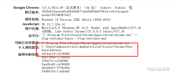 Google Chrome 应用商店插件离线导出导入方法（亲测有效）_插件_02