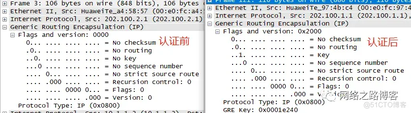 GRE隧道在实际部署中的优化、局限性与弊端_IP_12