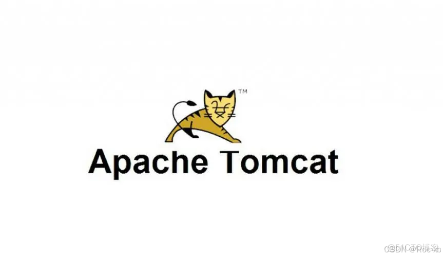 若依框架如何查看当前的tomcat版本？_tomcat