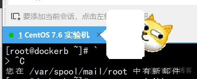 当你的Linux出现 ”您在 /var/spool/mail/root 中有新邮件“_重启_02