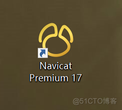 Navicat Premium 17 激活教程_SQL_07