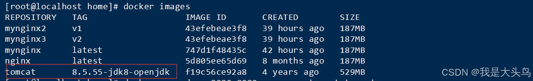 docker 导出导入镜像_容器_04