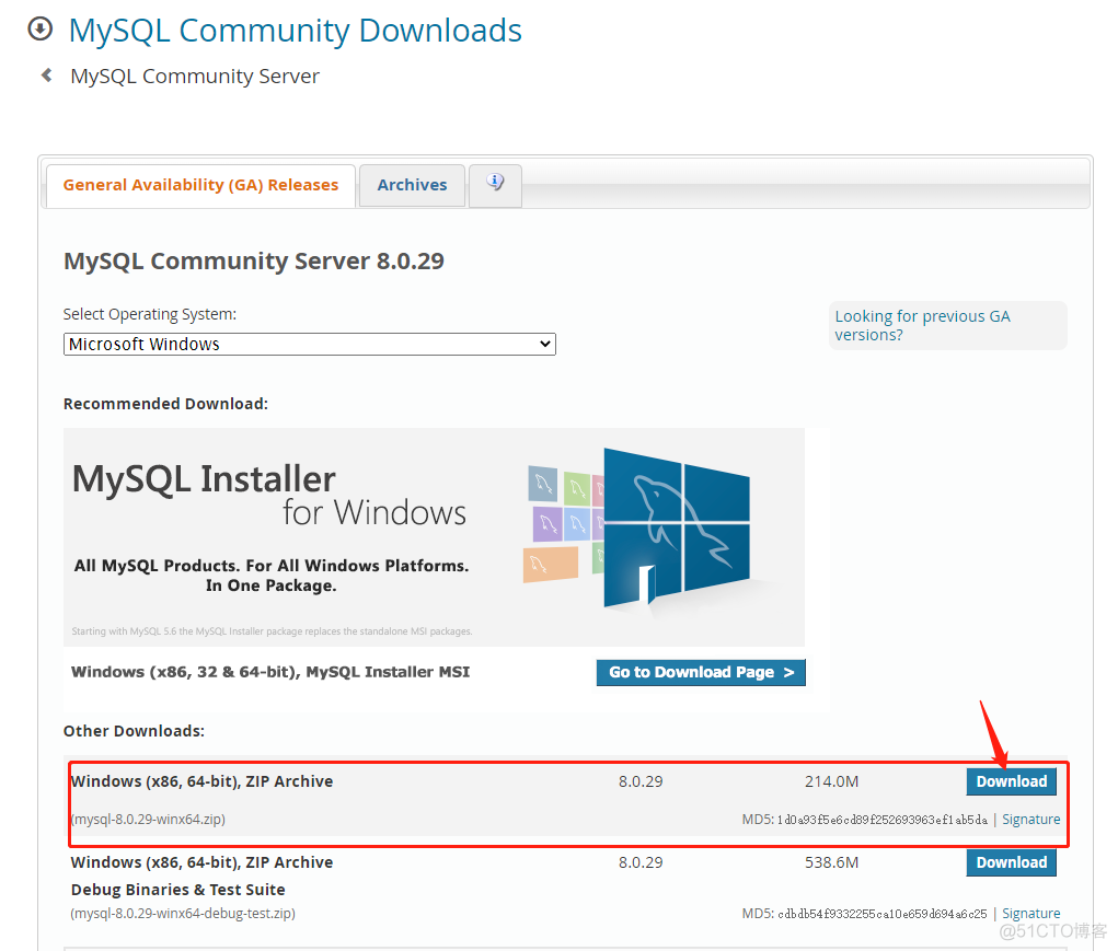 windows11下安装MySQL 8.0 步骤_System