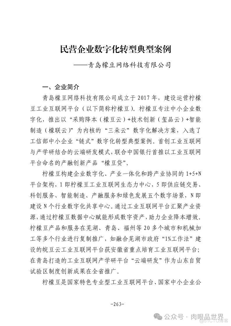 2024年民营企业数字化转型典型案例集（附下载）_解决方案_232