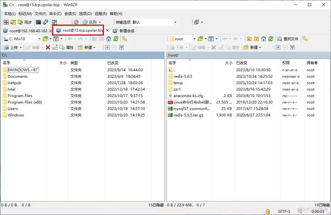 Win10如何配置OpenSSH+Server并实现无公网远程ssh连接文件传输？_笔记_31