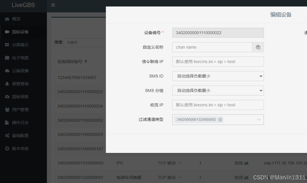 LiveGBS流媒体平台GB/T28181功能-配置过滤丢弃134报警通道137语音通道单独或是全局配置过滤通道过滤指定通道编号_LiveGBS国标_04