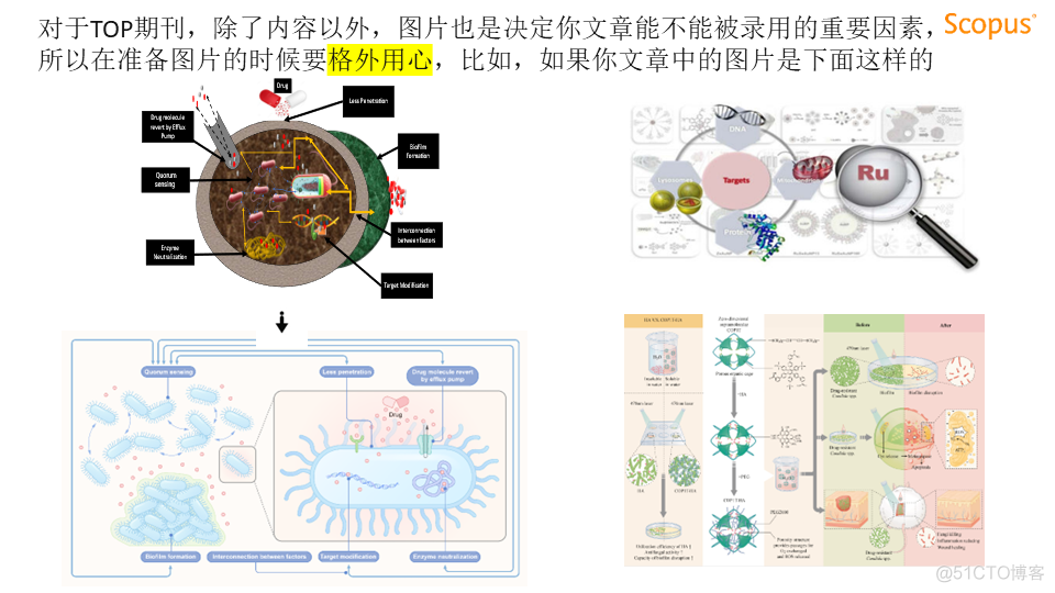 视频回放 | 陈哲生-怎么写一篇高影响力的综述_数据库_18