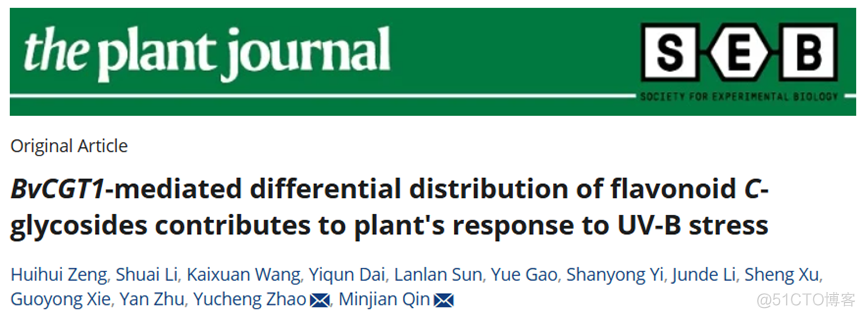 Plant Journal | 中国药科大学秦民坚/赵玉成团队解密植物C-苷黄酮地上部分特异性累积的生物学效应..._数据库