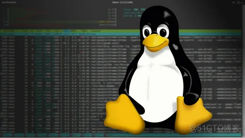 【Linux系列】SH 与 BASH 的区别：深入解析与使用案例_linux_02