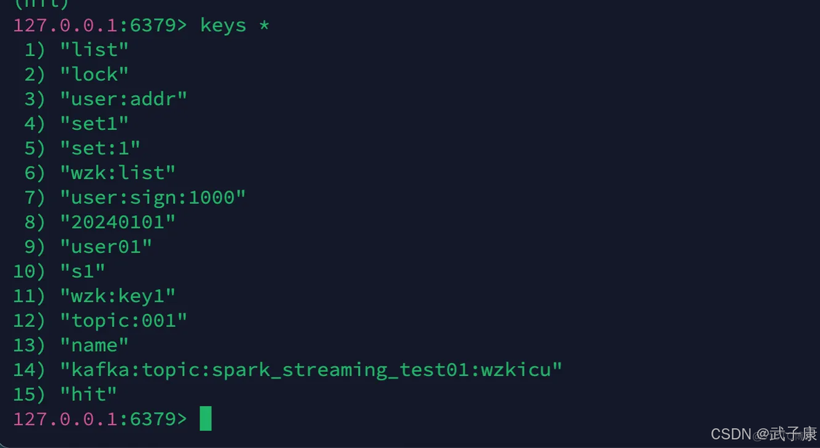 大数据-104 Spark Streaming Kafka Offset Scala实现Redis管理Offset并更新_大数据_06