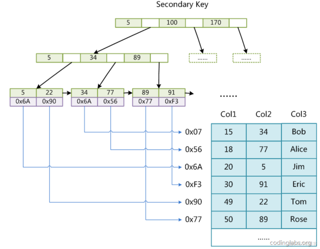 【MySQL】索引_数据_14