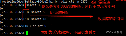 51. redis基础命令使用手册_redis