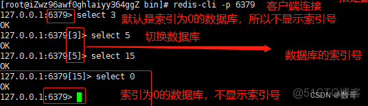 51. redis基础命令使用手册_redis