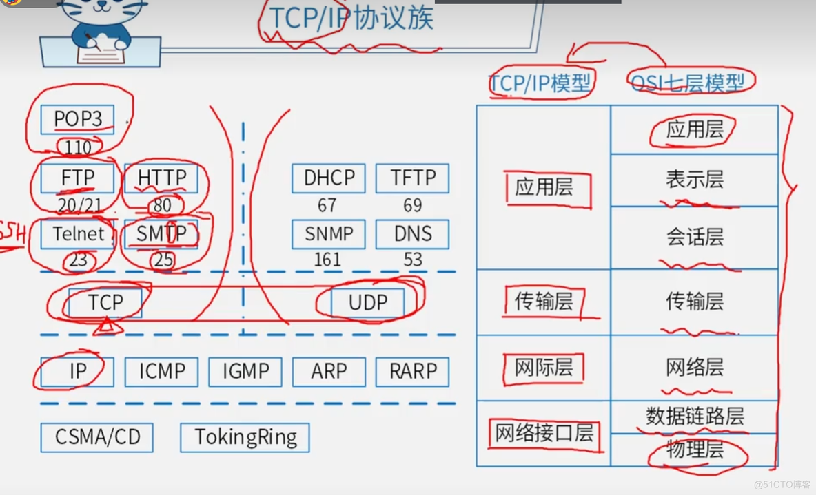 网络协议_系统