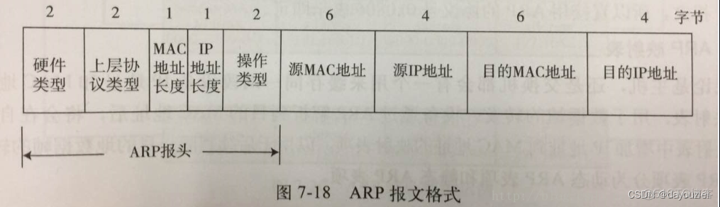 arp报文及使用go实现_数据链路层