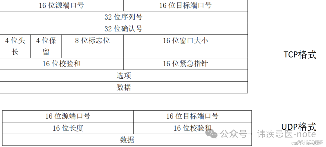 实现UDP可靠性传输（KCP介绍使用）_TCP_02