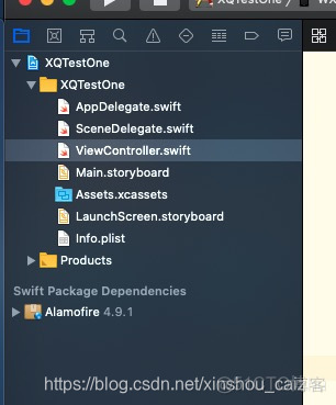 swift packagemanager_SPM_09