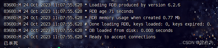 java执行cmd命令返回结果_1024程序员节_04