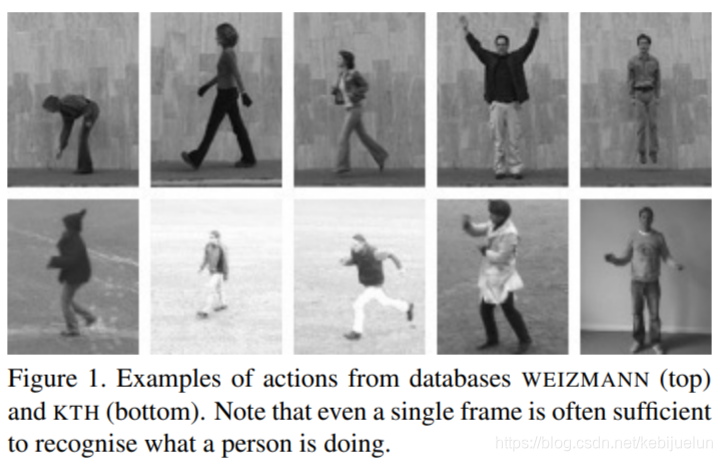 人类活动识别分割python_动作识别