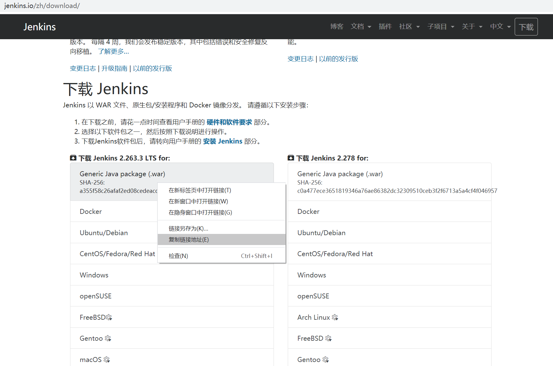 springboot api服务集成 Apache Doris实现数据实时聚合_Jenkins_11