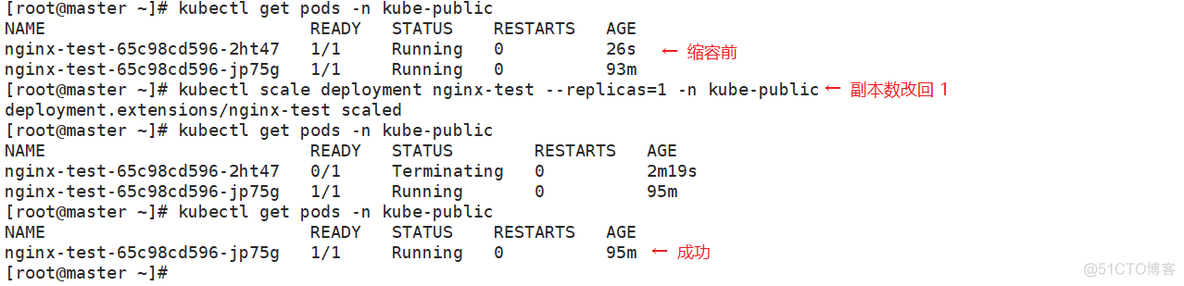 kubectl 启动mysql 并设置root密码_nginx_21