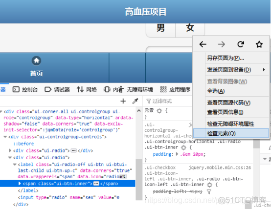 Python生成窗口制作问卷_软件测试_02