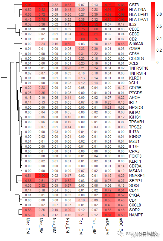 差异基因的热图 r语言_r语言_02