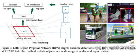 RCNN 结构图_损失函数_18