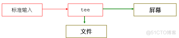 windows cmd echo 变量_bash_13