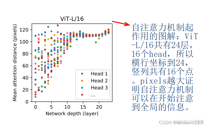 Vision Transformer迁移学习_卷积神经网络_07