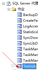 sql server 作业任务路径不见了_SQL_11