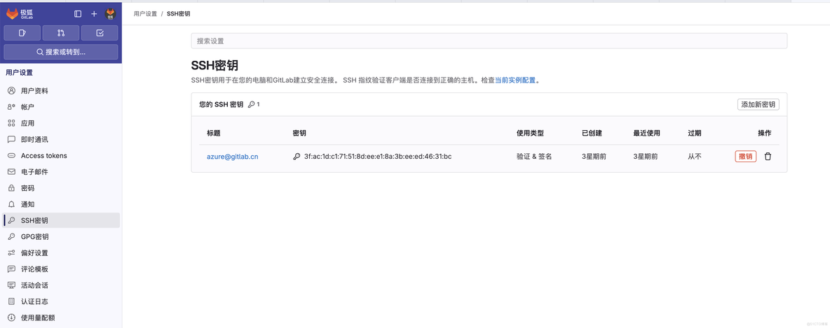 如何将 SSH Key 添加到极狐GitLab 中？_DevOps